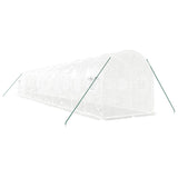 Greenhouse with Steel Frame White 24 m² 12x2x2 m - Rear View