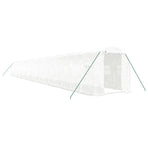Greenhouse with Steel Frame White 40 m? 20x2x2 m