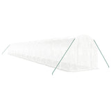 Greenhouse with Steel Frame White 40 m? 20x2x2 m
