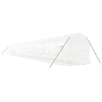 Greenhouse with Steel Frame White 40 m? 20x2x2 m
