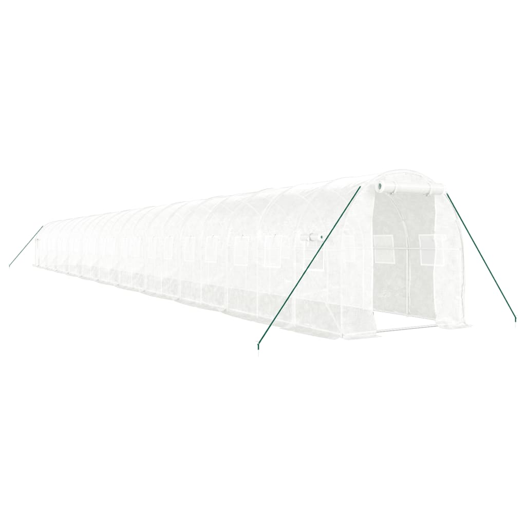 Greenhouse with Steel Frame White 44 m? 22x2x2 m