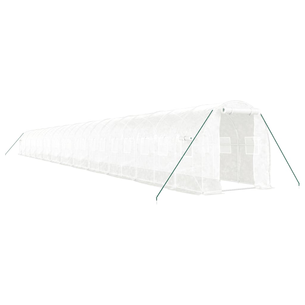 Greenhouse with Steel Frame White 48m? 24x2x2 m