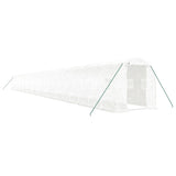 Greenhouse with Steel Frame White 48m? 24x2x2 m