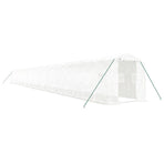 Greenhouse with Steel Frame White 48m? 24x2x2 m