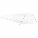 Greenhouse with Steel Frame White 48m? 24x2x2 m