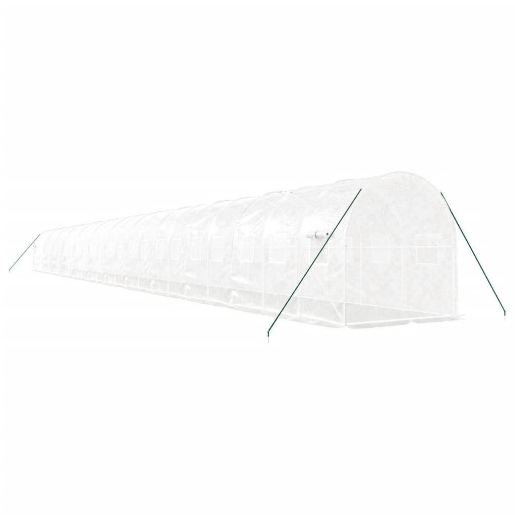 Greenhouse with Steel Frame White 48m? 24x2x2 m