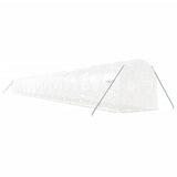 Greenhouse with Steel Frame White 48m? 24x2x2 m