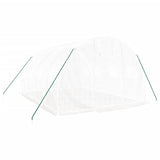 Greenhouse with Steel Frame White 12 m? 4x3x2 m
