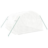 Greenhouse with Steel Frame White 12 m? 4x3x2 m