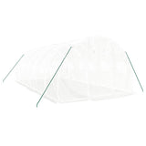 Greenhouse with Steel Frame White 18 m? 6x3x2 m