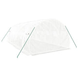 Greenhouse with Steel Frame White 18 m? 6x3x2 m