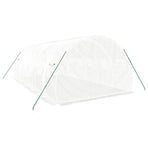 Greenhouse with Steel Frame White 18 m? 6x3x2 m