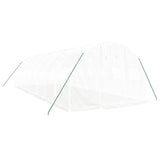 Greenhouse with Steel Frame White 24 m? 8x3x2 m