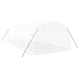 Greenhouse with Steel Frame White 24 m² 8x3x2 m - Rear View