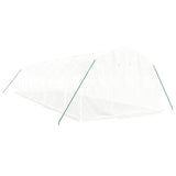 Greenhouse with Steel Frame White 30 m? 10x3x2 m