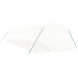 Greenhouse with Steel Frame White 36 m? 12x3x2 m