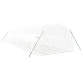 Greenhouse with Steel Frame White 36 m? 12x3x2 m