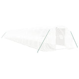 Greenhouse with Steel Frame White 60 m? 20x3x2 m