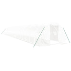 Greenhouse with Steel Frame White 60 m? 20x3x2 m