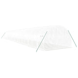 Greenhouse with Steel Frame White 60 m? 20x3x2 m
