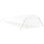 Greenhouse with Steel Frame White 60 m? 20x3x2 m
