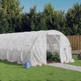 Greenhouse with Steel Frame White 60 m? 20x3x2 m