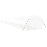 Greenhouse with Steel Frame White 66 m² 22x3x2 m - Rear View