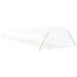 Greenhouse with Steel Frame White 72 m? 24x3x2 m