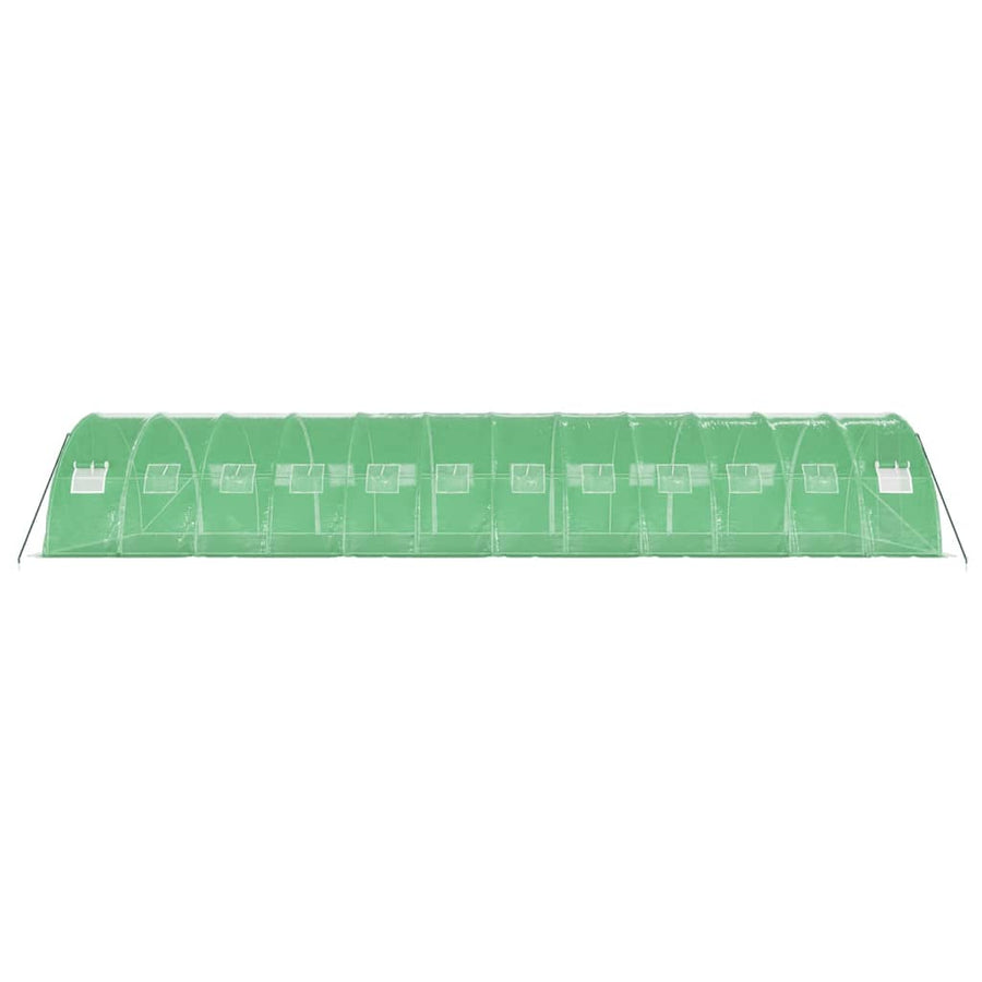 Greenhouse with Steel Frame Green 48 m? 12x4x2 m