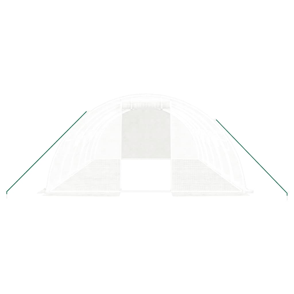 Greenhouse with Steel Frame White 24 m? 6x4x2 m