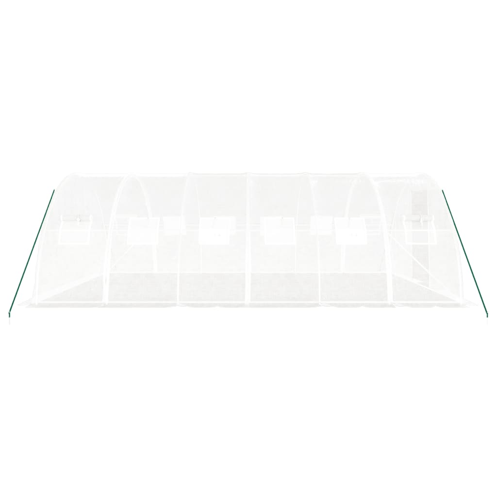 Greenhouse with Steel Frame White 24 m? 6x4x2 m