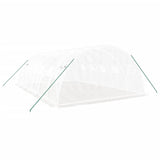 Greenhouse with Steel Frame White 24 m? 6x4x2 m