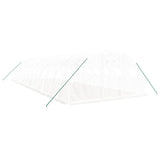 Greenhouse with Steel Frame White 48 m² 12x4x2 m - Side View