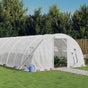 Greenhouse with Steel Frame White 56 m? 14x4x2 m