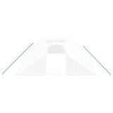 Greenhouse with Steel Frame White 80 m? 20x4x2 m