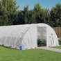 Greenhouse with Steel Frame White 80 m? 20x4x2 m