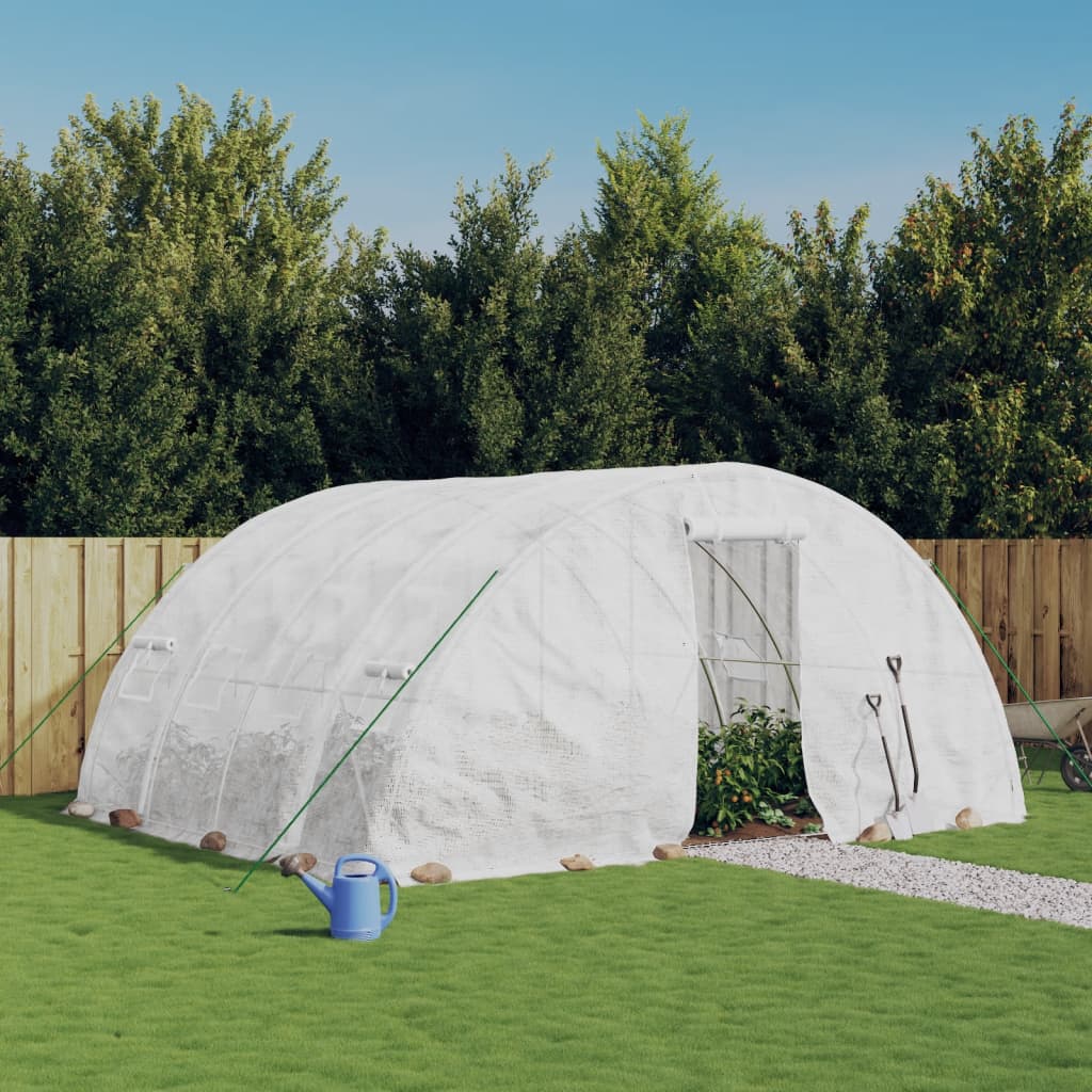 Greenhouse with Steel Frame White 20 m? 5x4x2.3 m