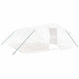 Greenhouse with Steel Frame White 30 m? 6x5x2.3 m