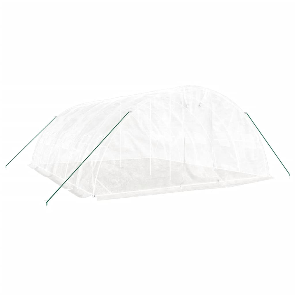 Greenhouse with Steel Frame White 30 m? 6x5x2.3 m