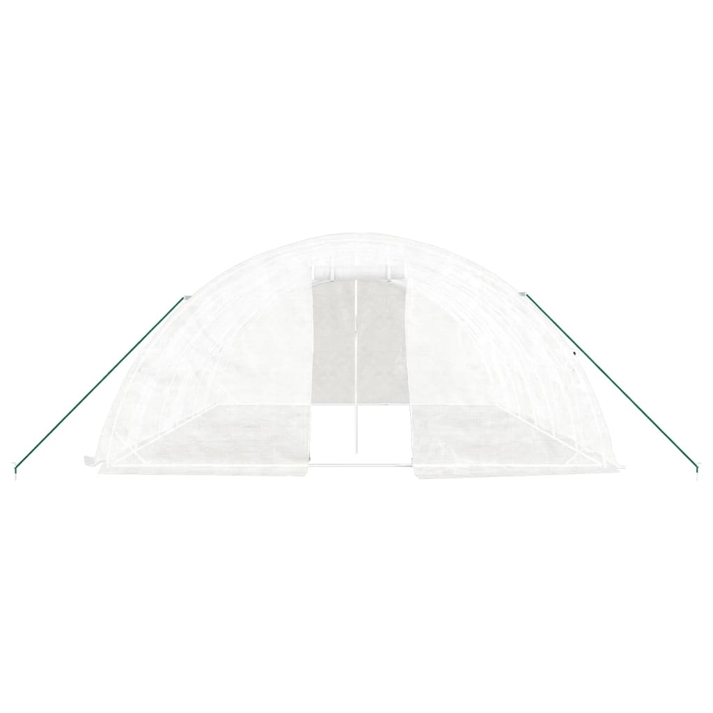 Greenhouse with Steel Frame White 30 m? 6x5x2.3 m