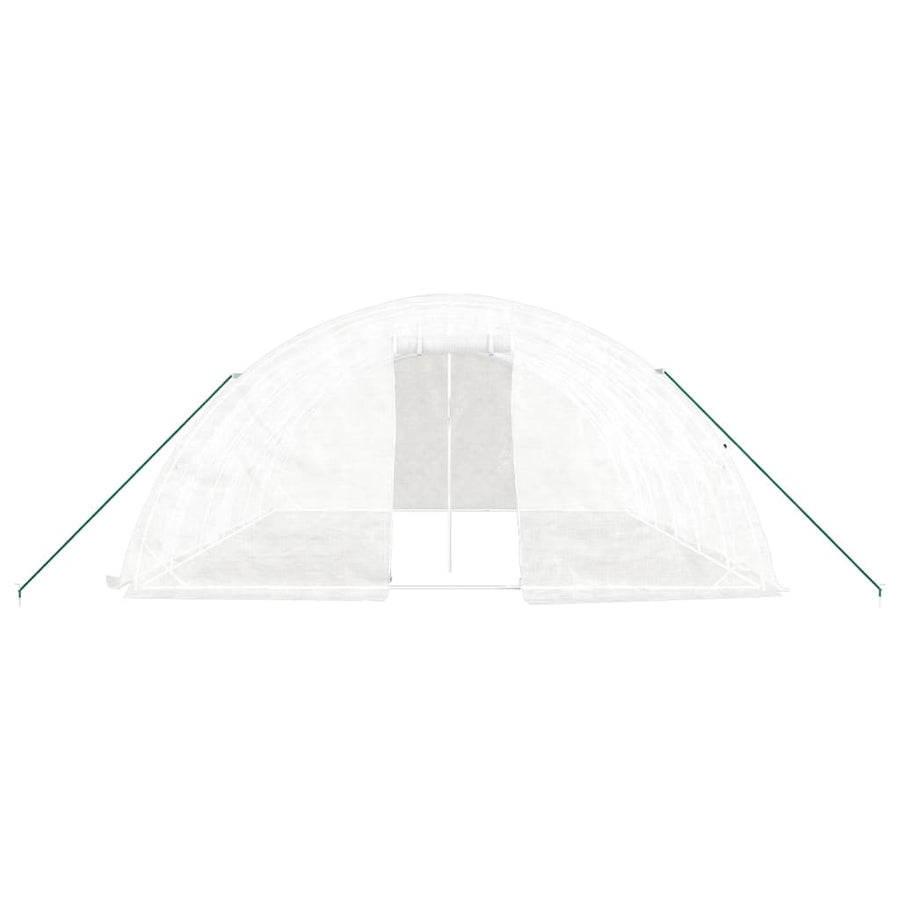 Greenhouse with Steel Frame White 30 m? 6x5x2.3 m