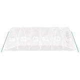 Greenhouse with Steel Frame White 30 m? 6x5x2.3 m