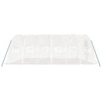 Greenhouse with Steel Frame White 30 m? 6x5x2.3 m