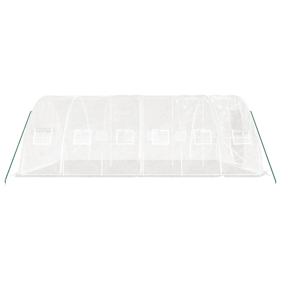 Greenhouse with Steel Frame White 30 m? 6x5x2.3 m
