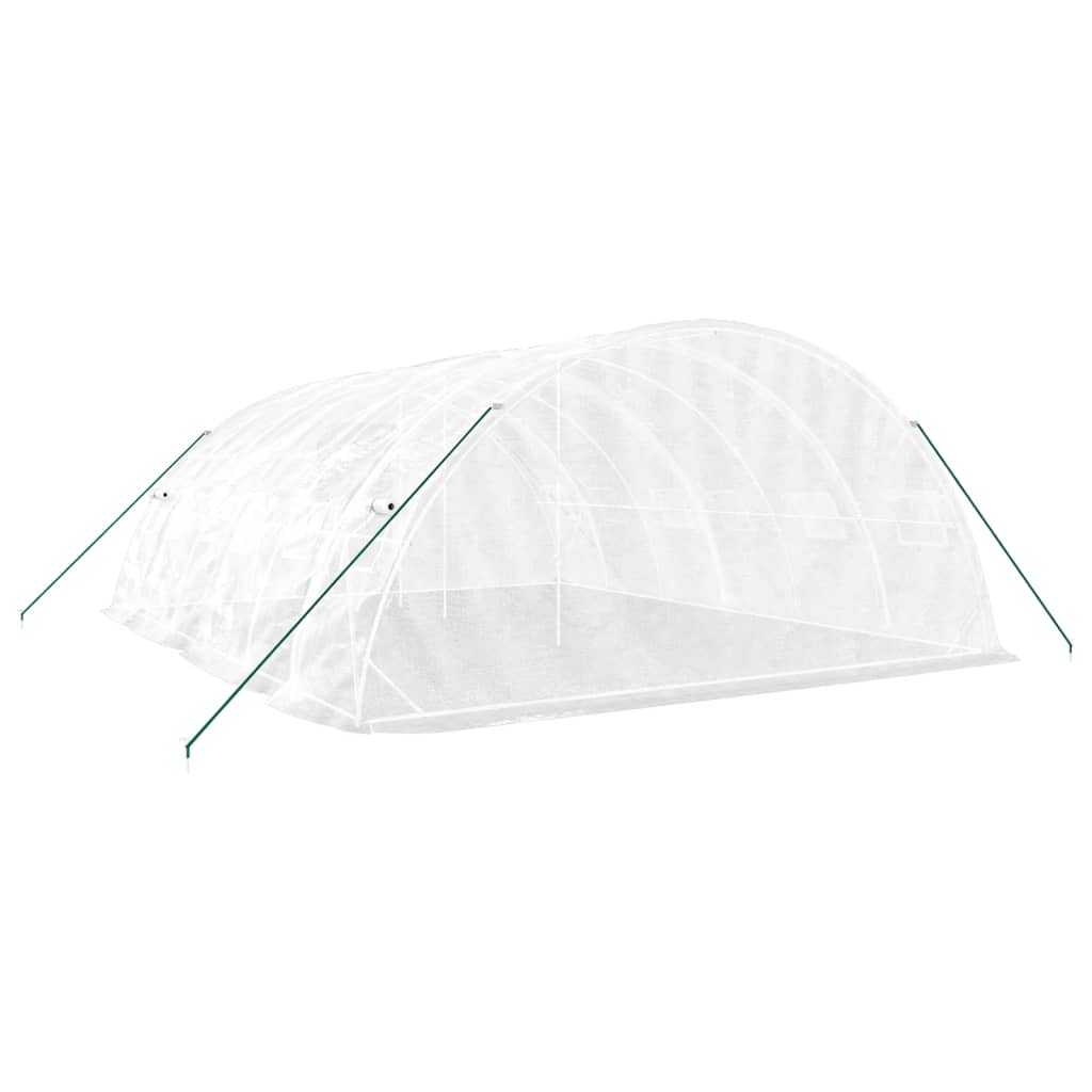 Greenhouse with Steel Frame White 30 m? 6x5x2.3 m