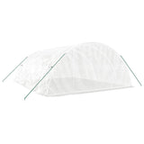 Greenhouse with Steel Frame White 30 m? 6x5x2.3 m