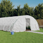 Greenhouse with Steel Frame White 30 m? 6x5x2.3 m