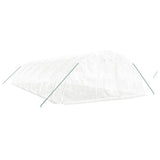 Greenhouse with Steel Frame White 60 m? 12x5x2.3 m