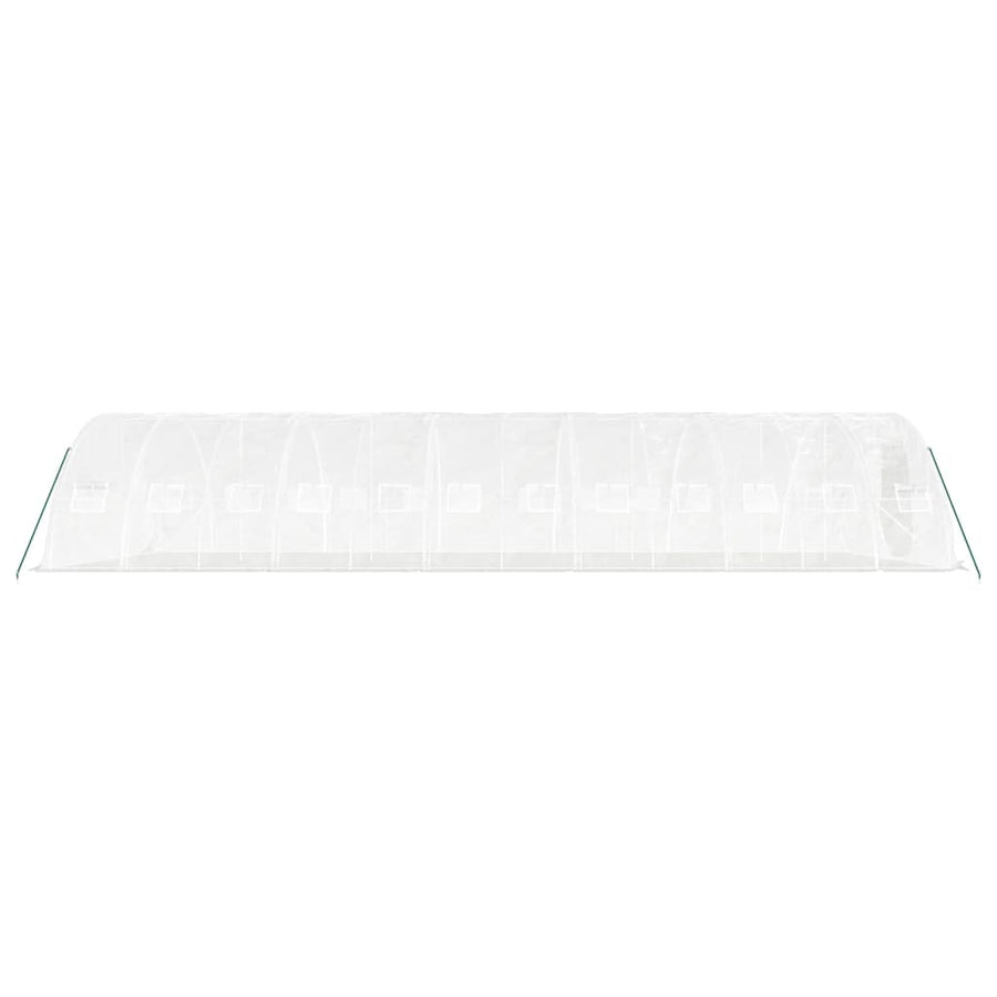 Greenhouse with Steel Frame White 60 m? 12x5x2.3 m