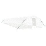 Greenhouse with Steel Frame White 100 m? 20x5x2.3 m